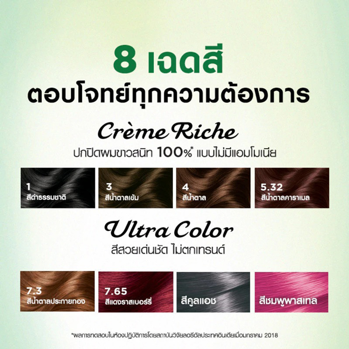 ครีมเปลี่ยนสีผม Garnier Color Naturals