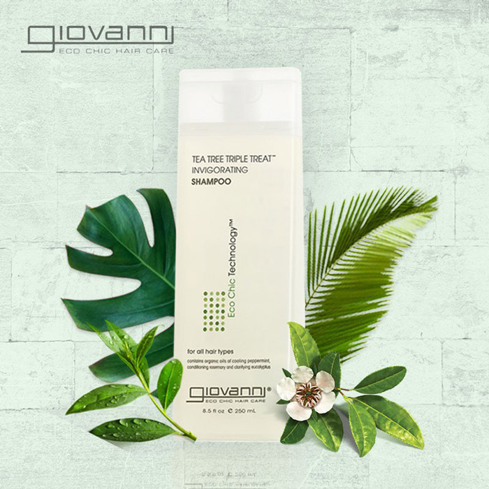 แชมพู Giovanni Eco Chic Tea Tree Triple Treat Invigorating Shampoo