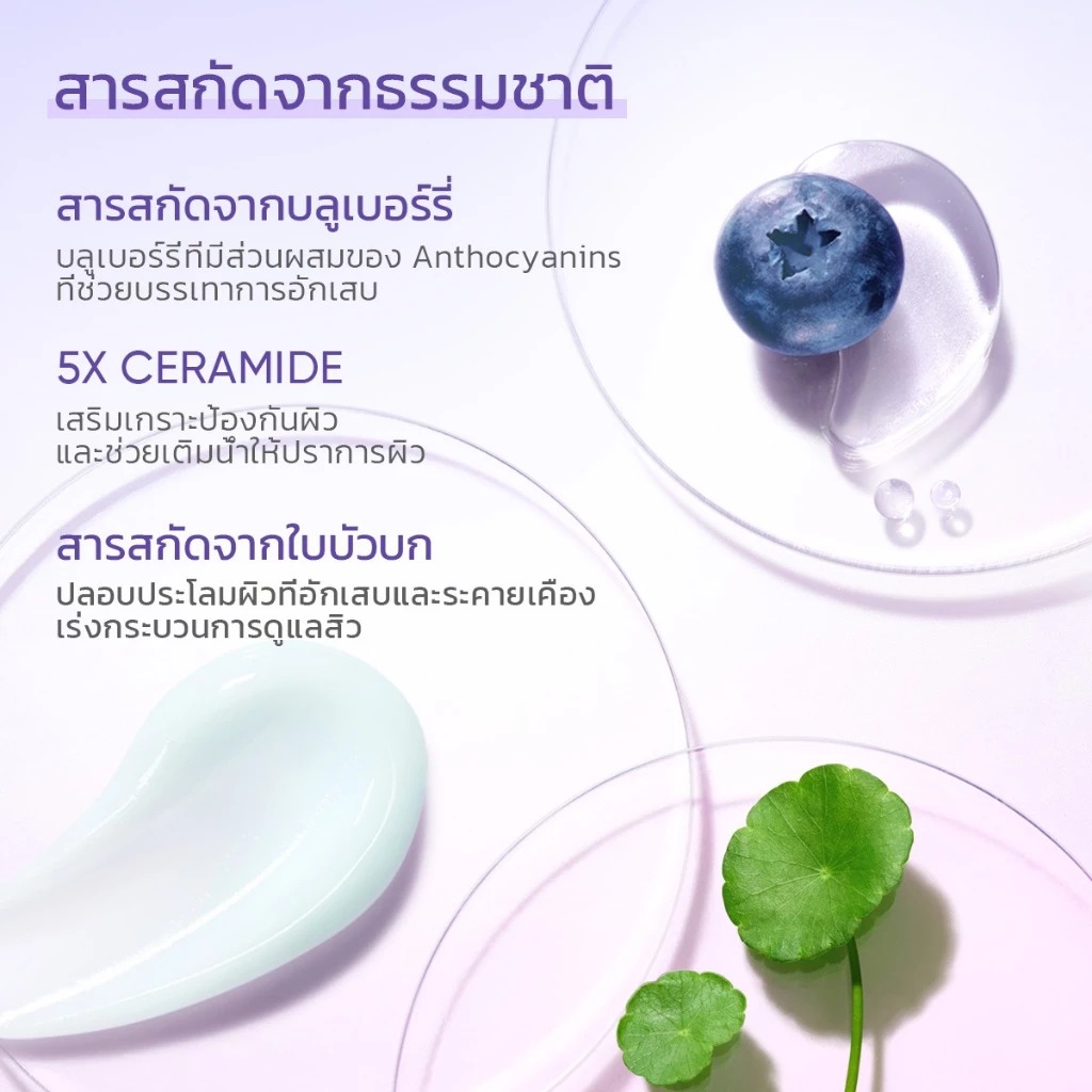 มอยเจอร์ไรเซอร์บลูเบอรี่ Glad2Glow Blueberry 5% Ceramide Moisturizer