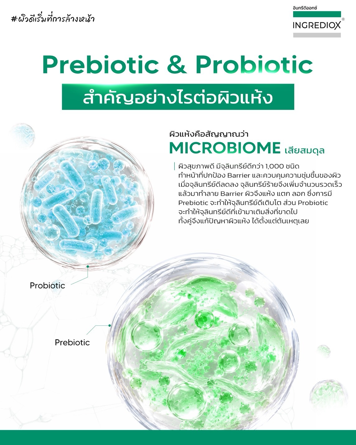 คลีนเซอร์น้ำนม INGREDIOX MicroBiome Balancing & Hydrating Milk Cleanser คลีนเซอร์น้ำนม INGREDIOX MicroBiome Balancing & Hydrating Milk Cleanser