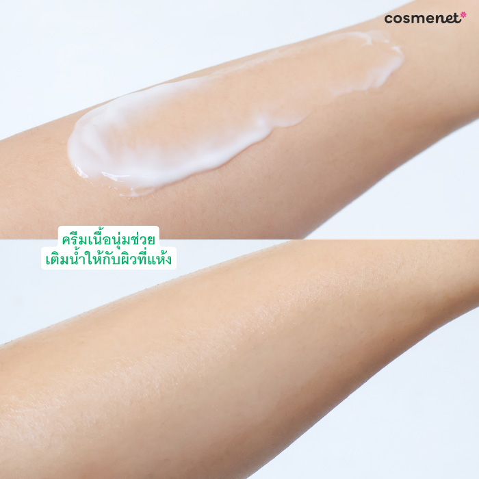 ครีมบำรุงผิวหน้า Innisfree Green Tea Seed Hyaluronic Cream ครีมบำรุงผิวหน้า Innisfree Green Tea Seed Hyaluronic Cream