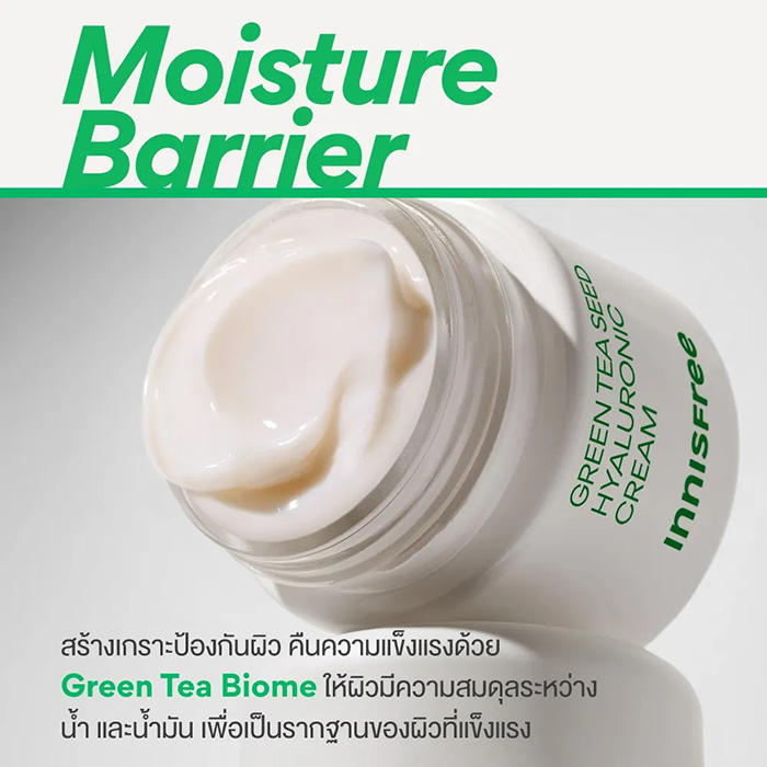 ครีมบำรุงผิวหน้า Innisfree Green Tea Seed Hyaluronic Cream ครีมบำรุงผิวหน้า Innisfree Green Tea Seed Hyaluronic Cream