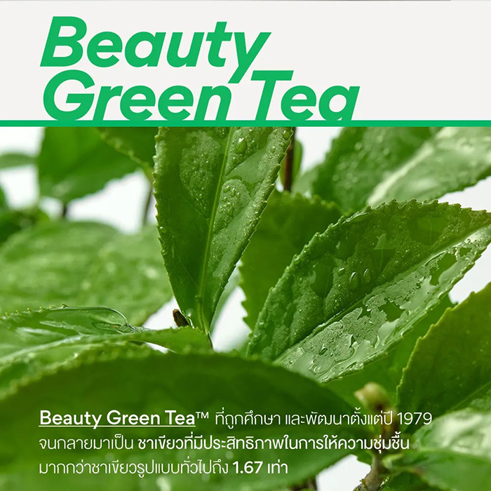ครีมบำรุงผิวหน้า Innisfree Green Tea Seed Hyaluronic Cream ครีมบำรุงผิวหน้า Innisfree Green Tea Seed Hyaluronic Cream