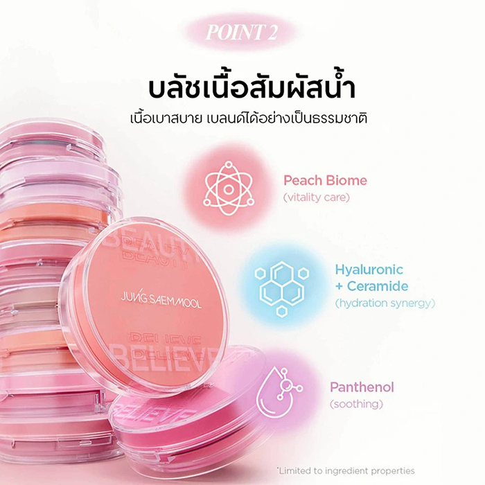 คุชชั่นบลัช JUNGSAEMMOOL Artist Cushion Blush