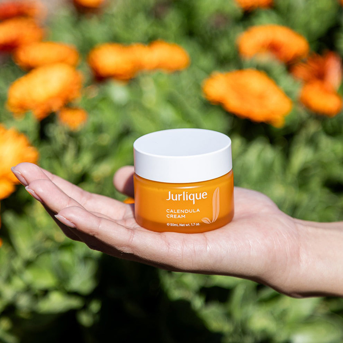ครีมบำรุงผิวหน้า Jurlique Calendula Cream ครีมบำรุงผิวหน้า Jurlique Calendula Cream
