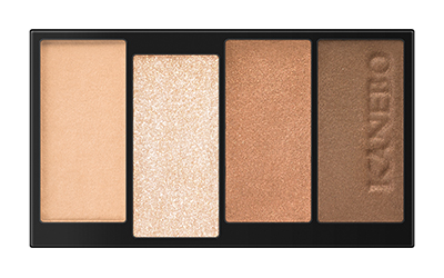 Kanebo Layered Colors Eyeshadow