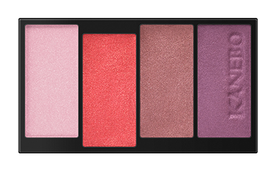 Kanebo Layered Colors Eyeshadow