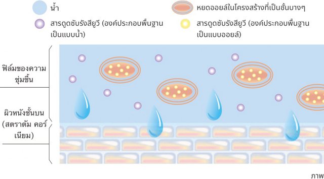 เซรั่ม กันแดด Kanebo Veil of Day SPF50/PA+++