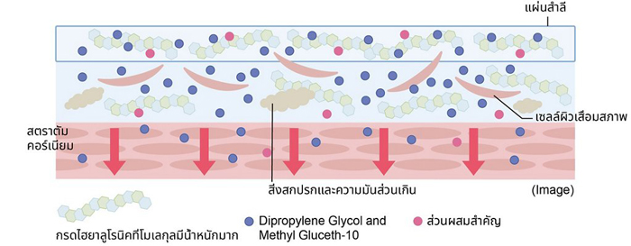 โลชั่น KANEBO Radiant Skin Refiner