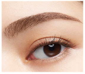 มาสคาร่าคิ้ว Kate 3D Eyebrow Color N BR-5