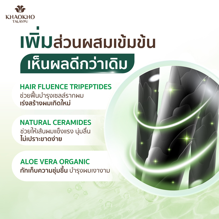 แชมพูสระผม Khaokho Talaypu Leech Lime & Centella Herbal Shampoo