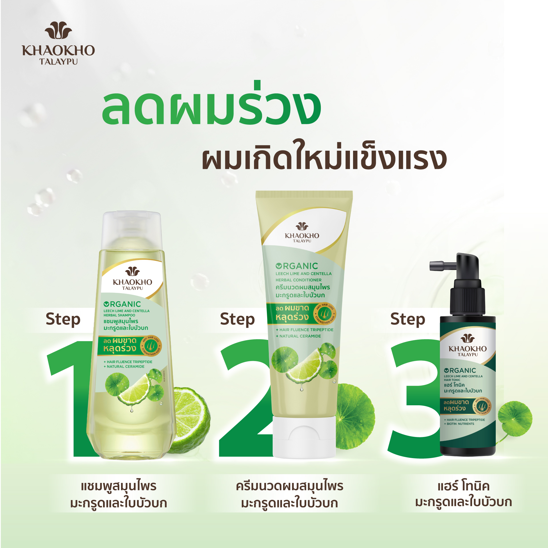 แชมพูสระผม Khaokho Talaypu Leech Lime & Centella Herbal Shampoo