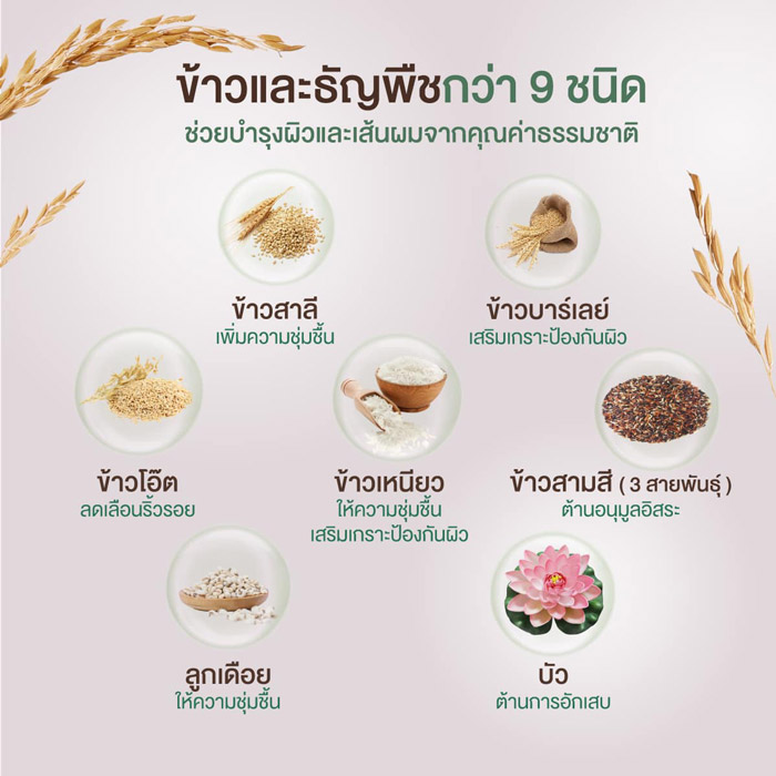 Khaokho Talaypu Multi Rice Facial Essence เอสเซนส์