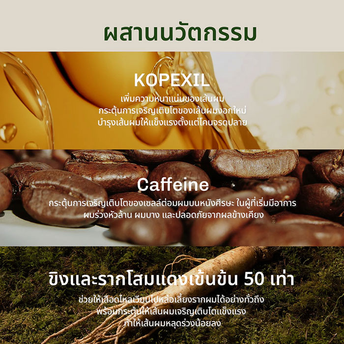 เซรั่มบำรุงหนังศรีษะ Lavojoy Hold Me Tight Pro Scalp Essence Spring Wonder