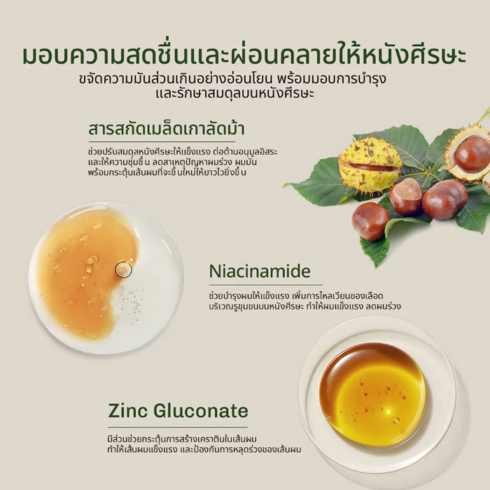 เซรั่มบำรุงหนังศรีษะ Lavojoy Hold Me Tight Pro Scalp Essence Spring Wonder