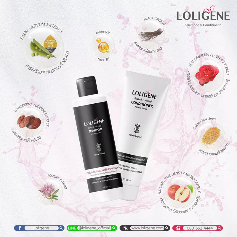 แชมพูลดผมร่วง Loligene Revival Micellar Shampoo