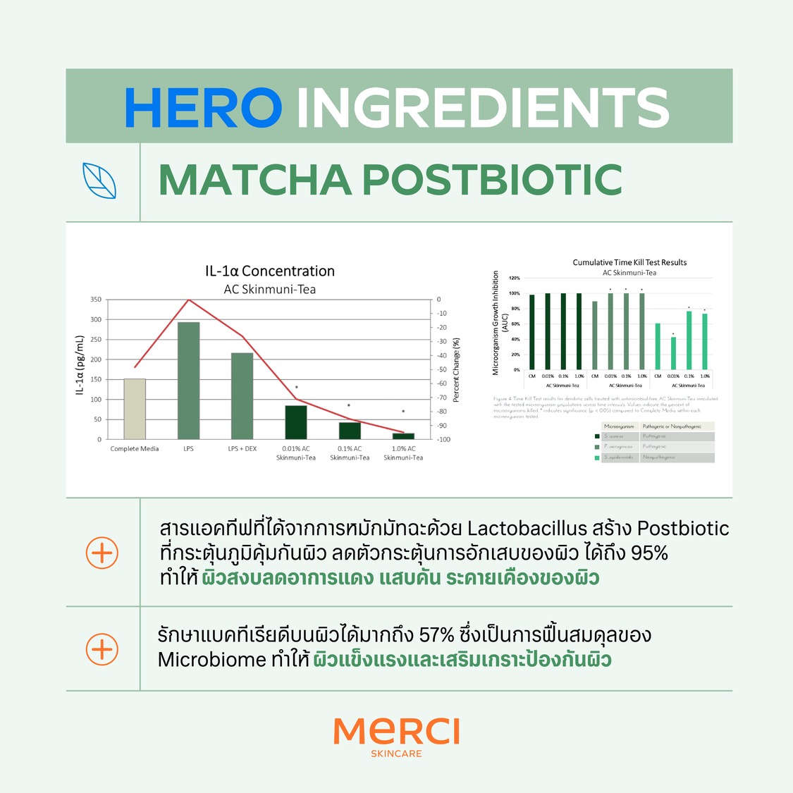 มอยส์มัทฉะ Merci Moist Matcha & Panthenol B5 Hydration Cream
