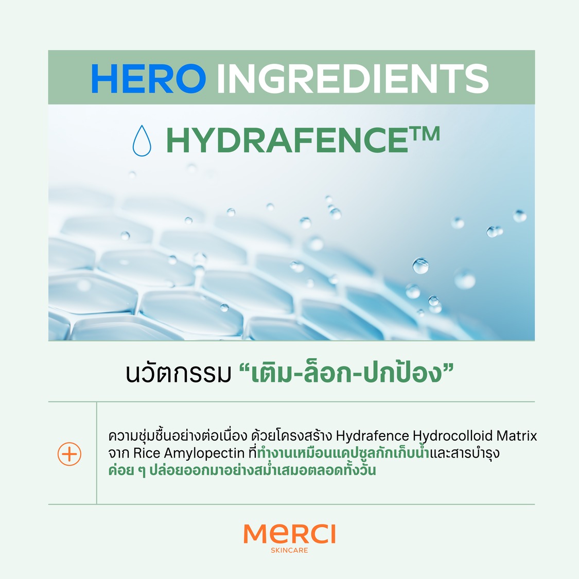มอยส์มัทฉะ Merci Moist Matcha & Panthenol B5 Hydration Cream