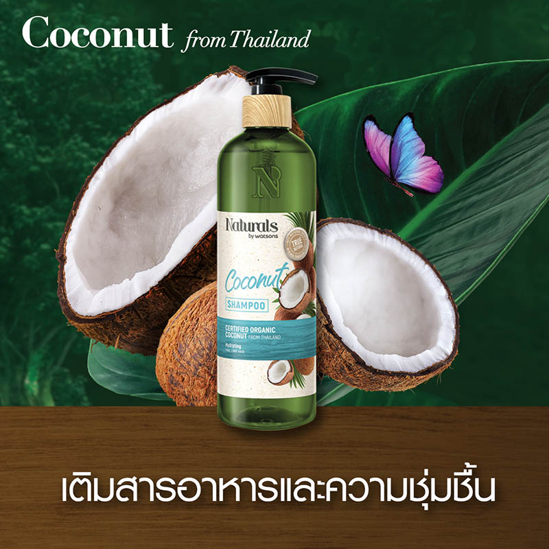 แชมพู Naturals by Watsons Coconut Shampoo