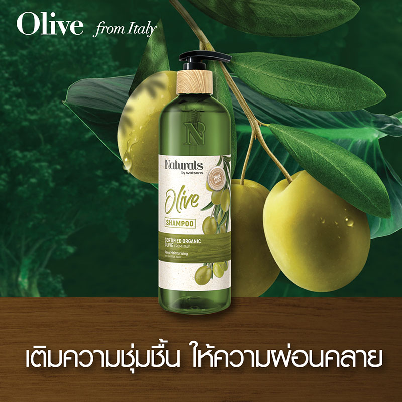 แชมพู Naturals by Watsons Olive Shampoo