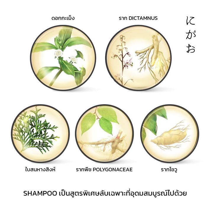 เซรั่มลดผมร่วง NIGAO Anti Hair Loss Herbal Serum