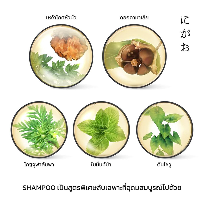 เซรั่มลดผมร่วง NIGAO Anti Hair Loss Herbal Serum