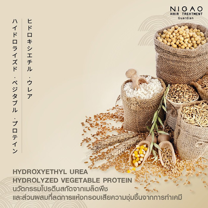 NIGAO Hair Treatment Guardian ไฮบริดทรีทเม้นท์