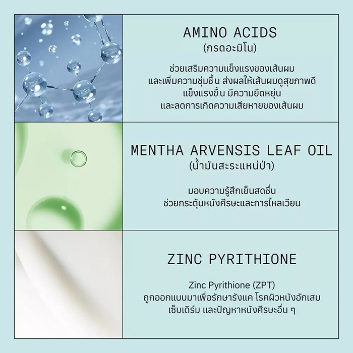 ครีมนวดผม Nioxin Scalp Recovery Moisturizing Conditioner