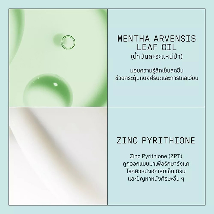 แชมพูขจัดรังแค Nioxin Scalp Recovery Purifying Shampoo แชมพูขจัดรังแค Nioxin Scalp Recovery Purifying Shampoo