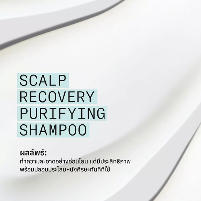 แชมพูขจัดรังแค Nioxin Scalp Recovery Purifying Shampoo แชมพูขจัดรังแค Nioxin Scalp Recovery Purifying Shampoo