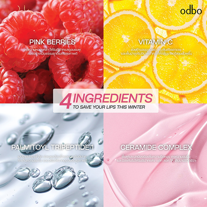 ลิปออยล์ ODBO First Ever Lip Oil