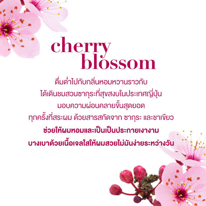 OGX Heavenly Hydration Cherry Blossoms Shampoo แชมพู