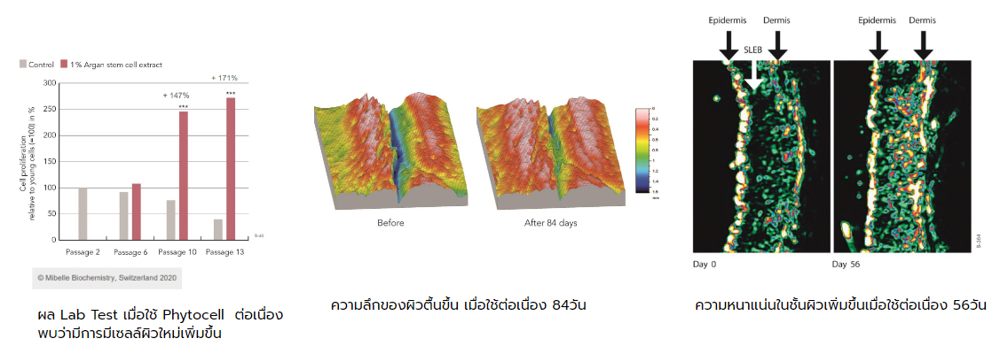 คลีนซิ่งมิลค์ Oilatum Gentle Facial Care Cleansing Milk