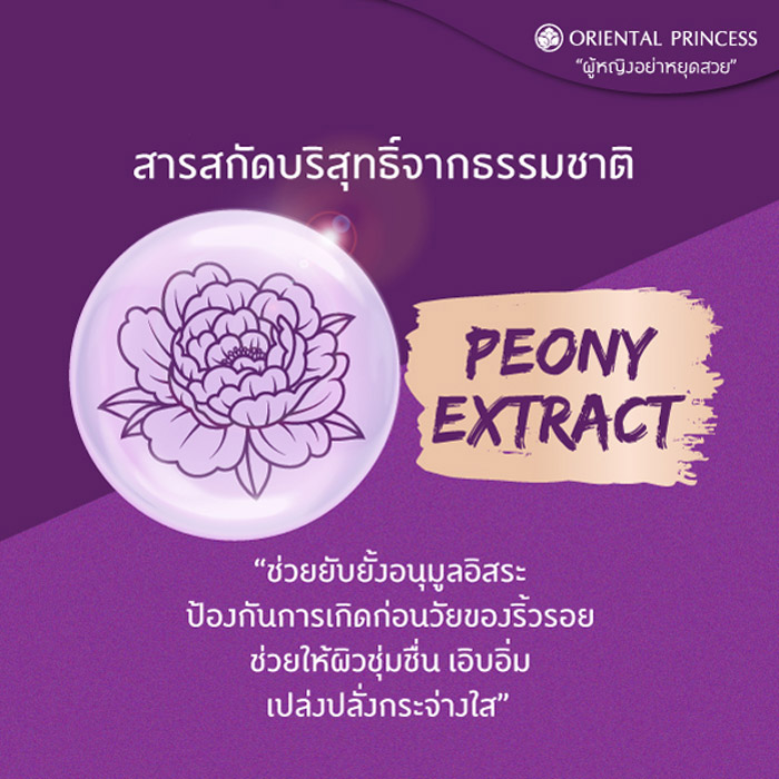 Oriental Princess beneficial Perfect Finish Liquid Concealer คอนซีลเลอร์