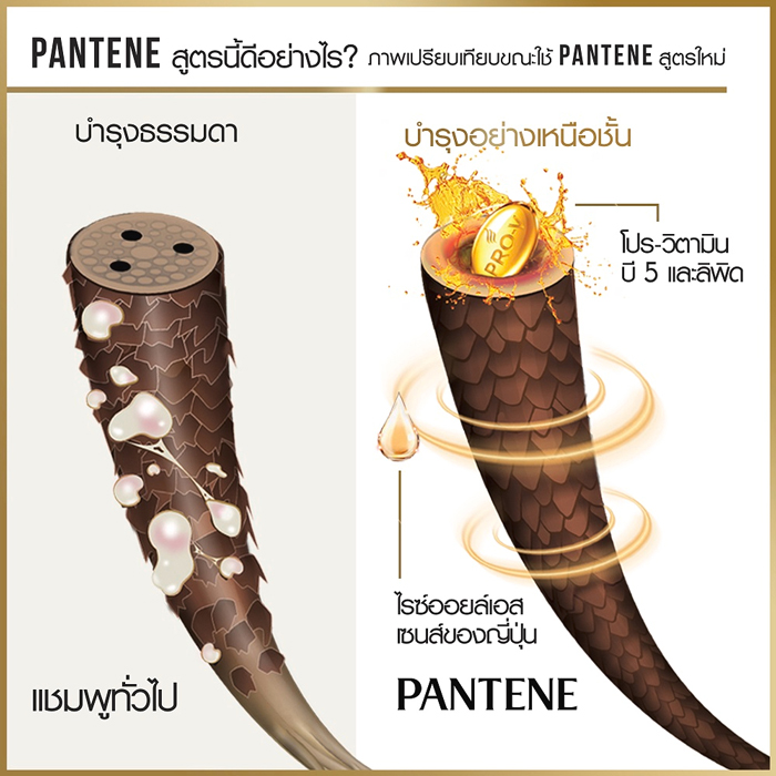 แชมพูสระผม Pantene Total Damage Care Pro-V Shampoo