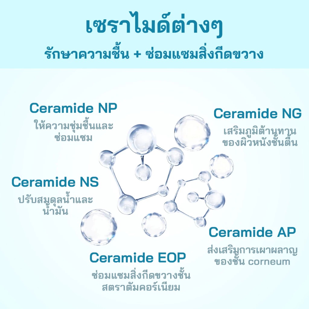 โฟมล้างหน้า PAPA FEEL Amino Acid Deep Cleansing Mousse