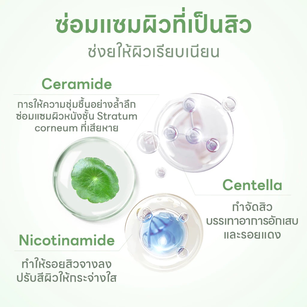 เจลแต้มสิว PAPA FEEL Salicylic acld acne removal gel