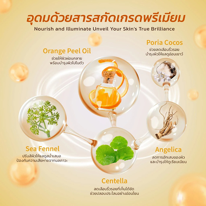 ครีมบำรุงผิวหน้า PARMAYARD Moisturizer Primer Cream ครีมบำรุงผิวหน้า PARMAYARD Moisturizer Primer Cream