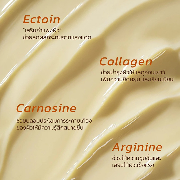 ครีมบำรุงผิวหน้า PARMAYARD Moisturizer Primer Cream ครีมบำรุงผิวหน้า PARMAYARD Moisturizer Primer Cream