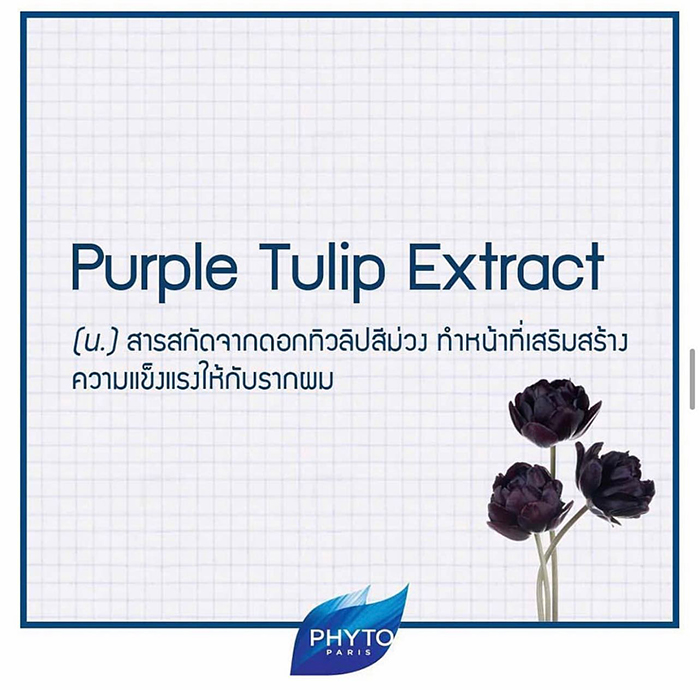 เซรั่มลดผมหงอก PHYTO RE30
