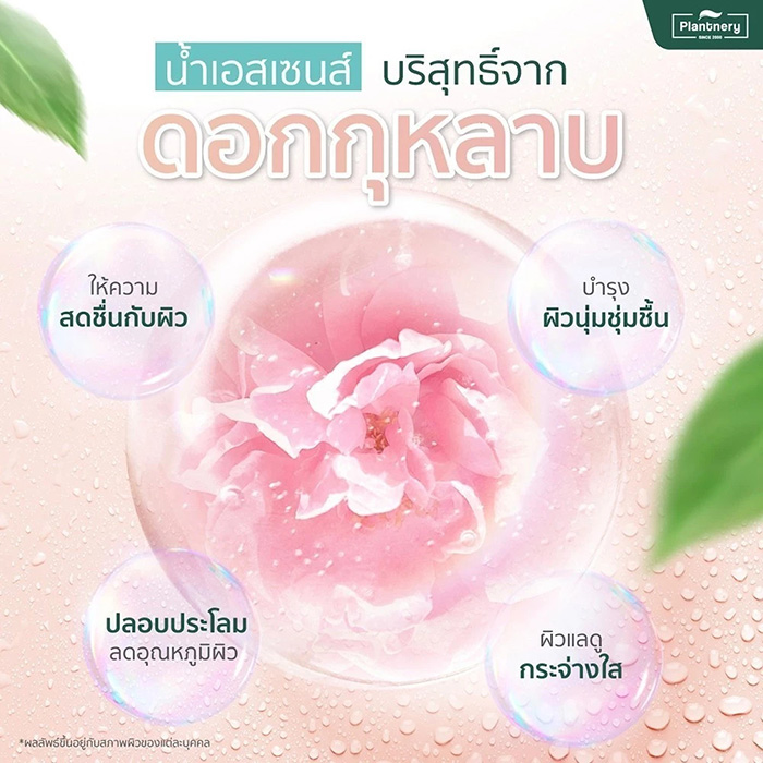 สเปรย์ล็อคเมคอัพ Plantnery Daily Setting Mist Fixing Spray