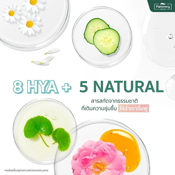 สเปรย์ล็อคเมคอัพ Plantnery Daily Setting Mist Fixing Spray