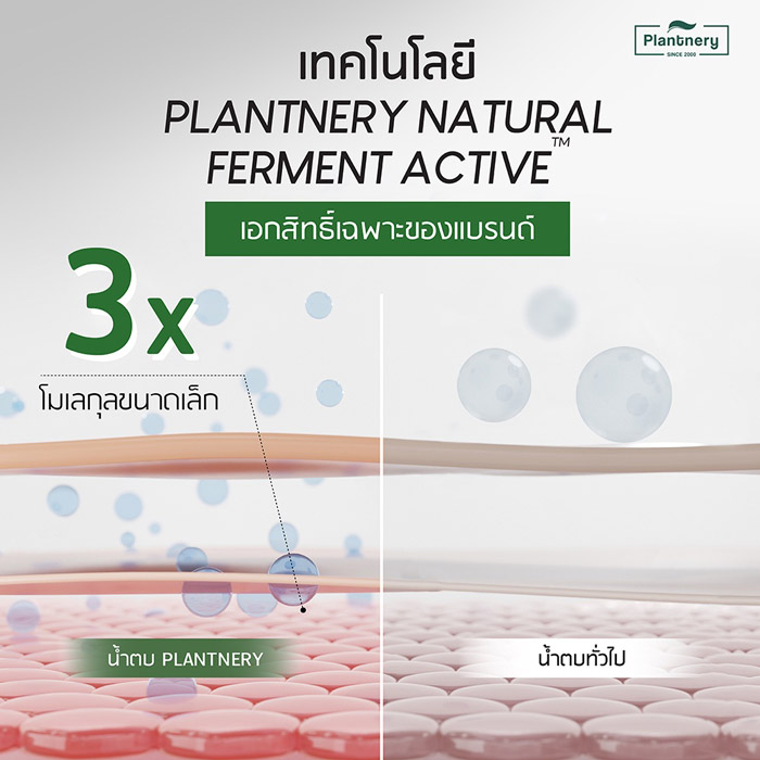 Plantnery Tea Tree Ferment Essence น้ำตบ