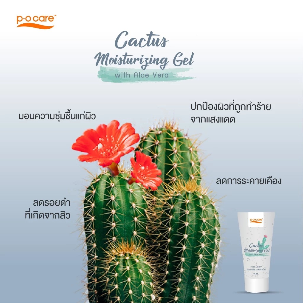 เจลบำรุงผิว P.O.Care Cactus Moisturizing Gel