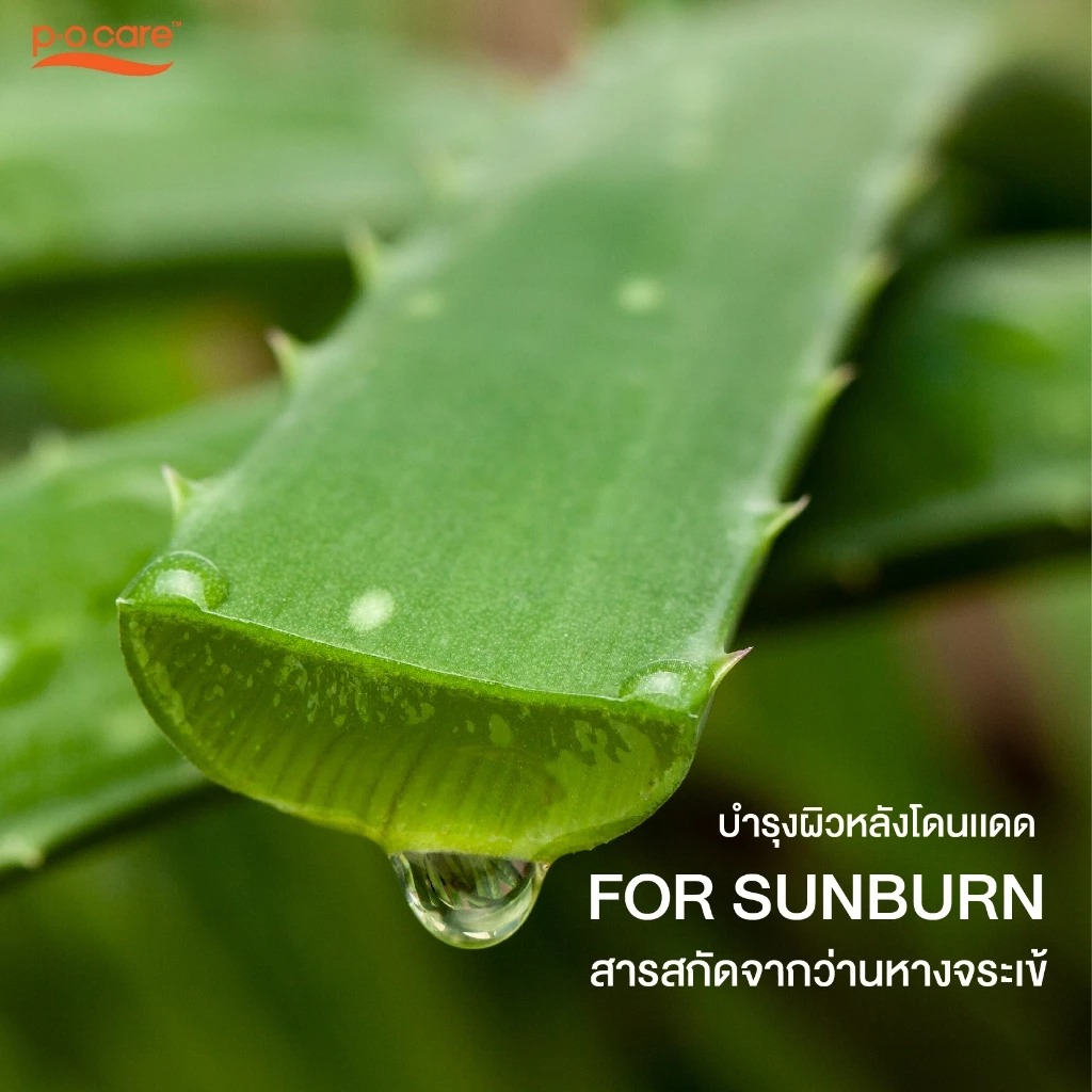 โฟมบำรุงผิวหลังโดดแดด P.O.Care D-Panthenol After Sun Foam