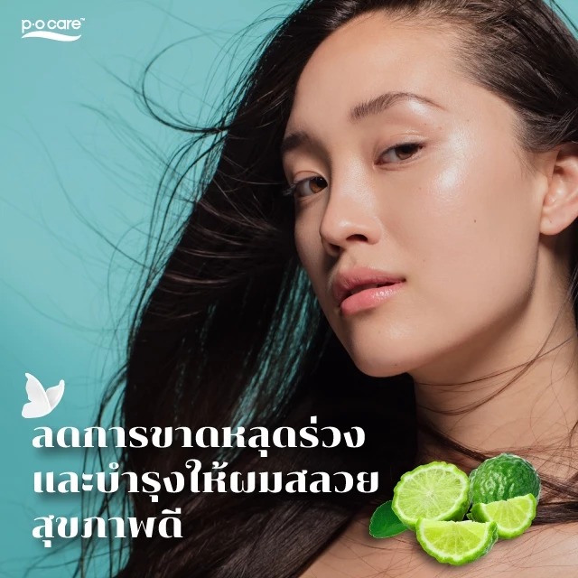 แชมพูทำความสะอาดเส้นผม P.O.Care Kaffir Lime Shampoo