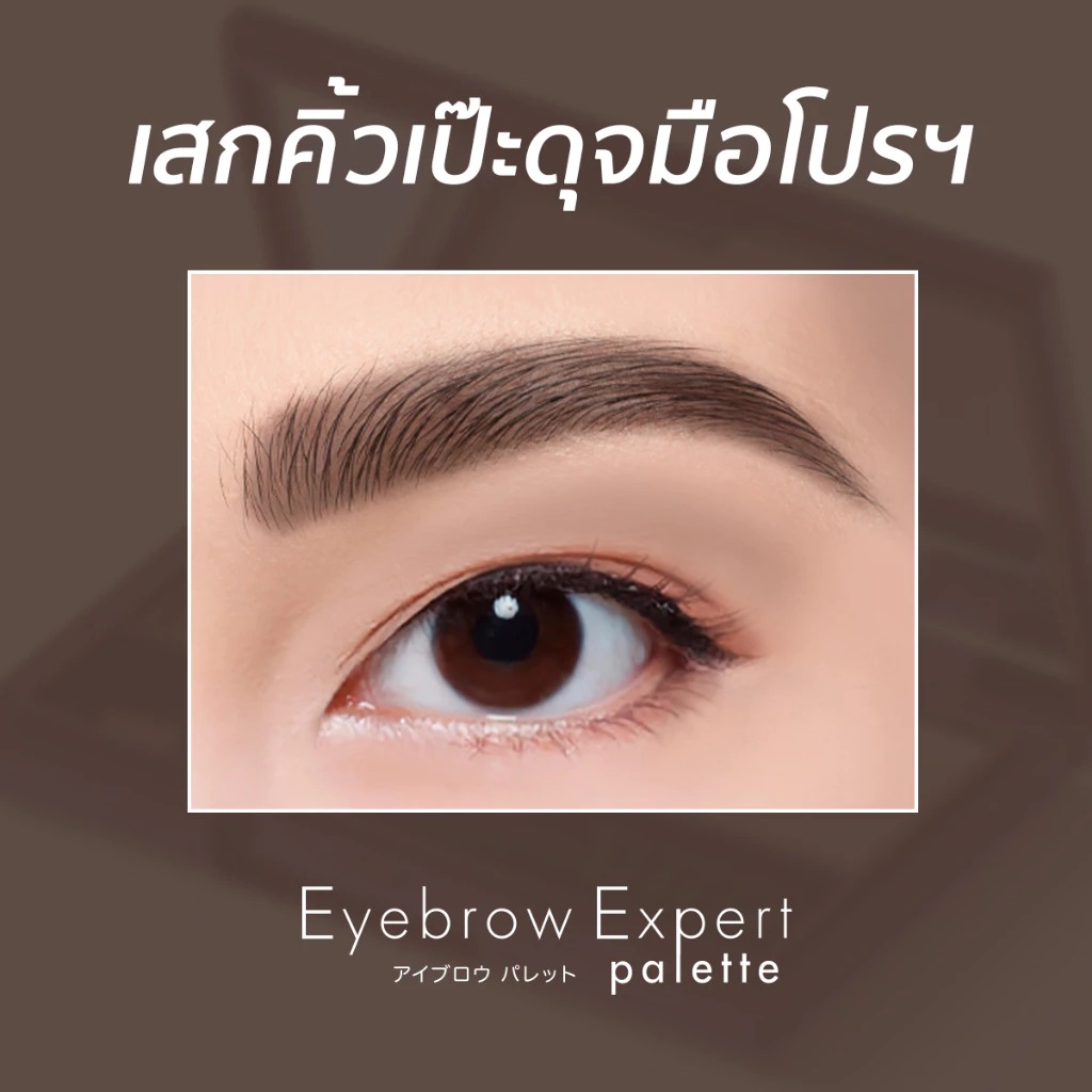 พาเลทเขียนคิ้ว ran cosmetic eyebrow expert palette by pom vinij