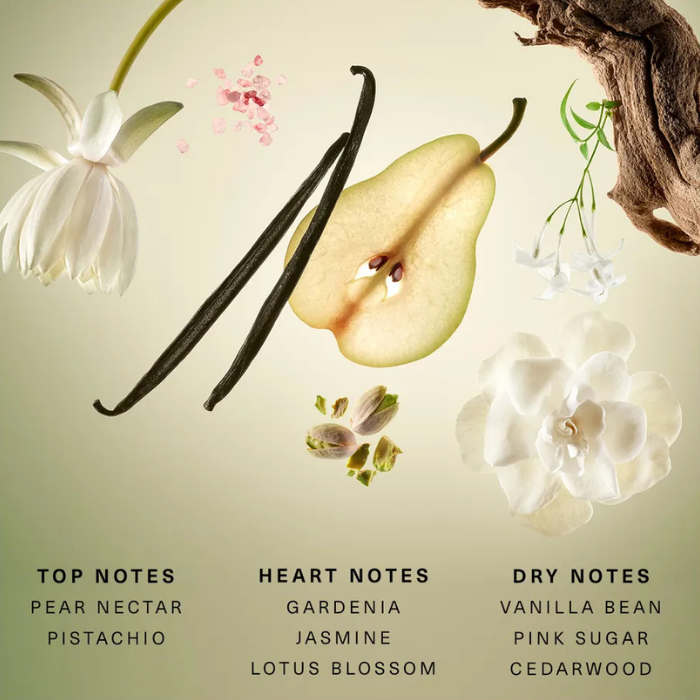 น้ำหอม Rare Beauty Rare Beginnings Eau De Parfum น้ำหอม Rare Beauty Rare Beginnings Eau De Parfum