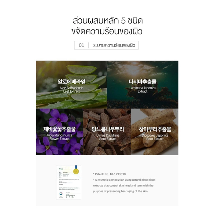 กันแดดแบบแท่ง Round Lab Birch Juice Moisturizing Sun Stick SPF50+ PA++++