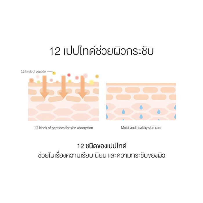 กันแดดแบบแท่ง Round Lab Birch Juice Moisturizing Sun Stick SPF50+ PA++++